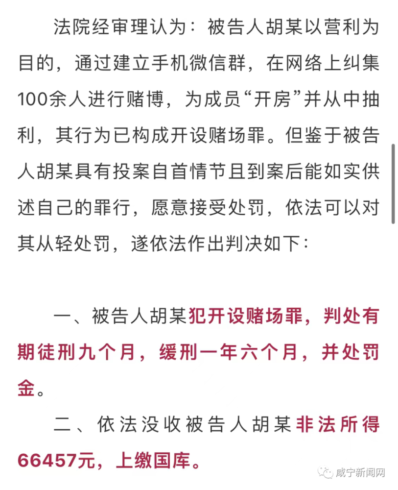 澳门正版资料全年免费公开精准资料一,澳门正版资料全年免费公开精准资料一，揭示违法犯罪问题的重要性与应对策略