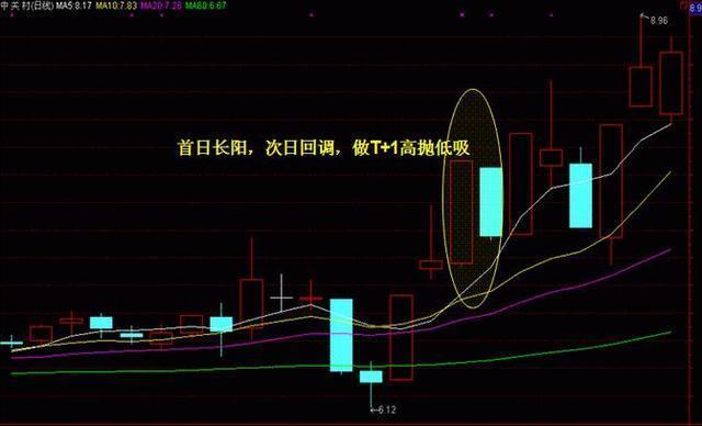 澳门4949开奖现场直播+开,澳门4949开奖现场直播，揭开神秘面纱，体验开奖实况