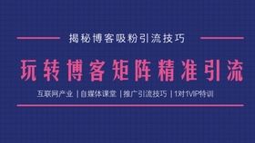 澳门天天免费精准大全,澳门天天免费精准大全——揭示背后的风险与犯罪问题