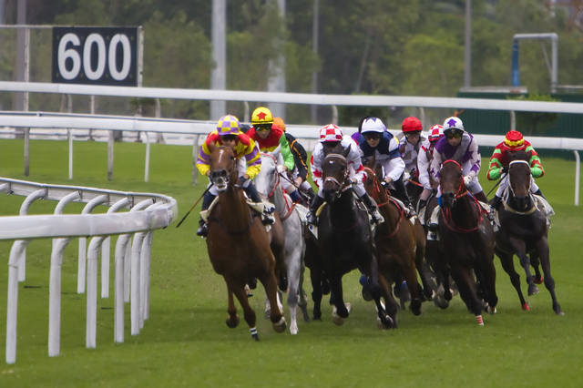 香港今晚开什么特马,香港今晚开什么特马，探索赛马运动的魅力与挑战